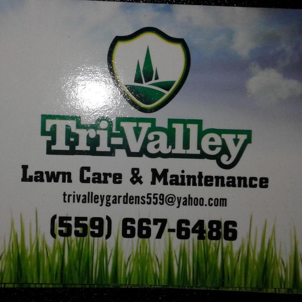 trivalley lawn care maintenance