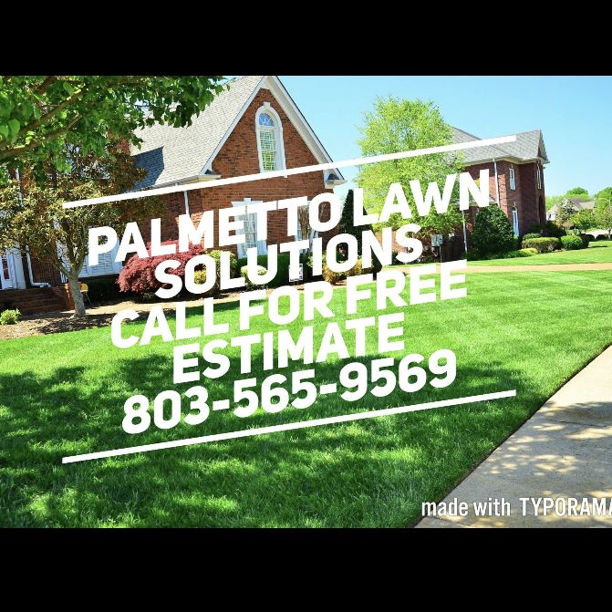 Palmetto Lawn Solutions