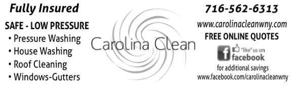 Carolina Clean