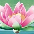 Lotus Garden Wellness Spa, LLC