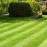 S & J Lawncare and Clean Up