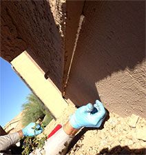 Scorpion Exclusion Service