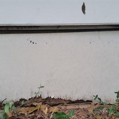 Crawl door eaten by termites