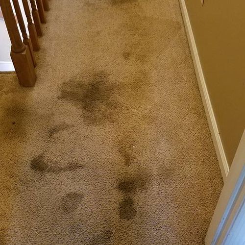 Very old stains! A before cleaning picture.