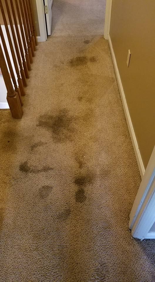 Very old stains! A before cleaning picture.