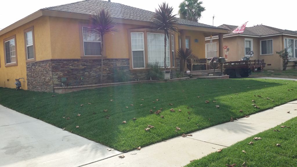 New Lawn and Gravel Installation
Satisfied Thumbta