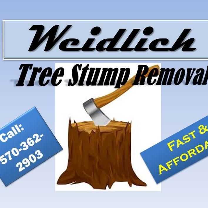 WeidlichTree Stump Removal