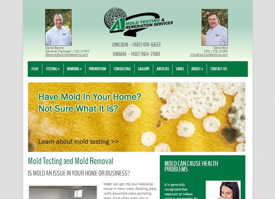 Mold Inspection Web Site