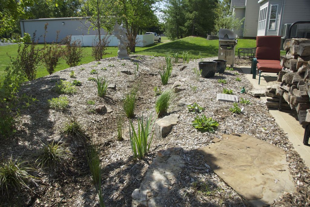 Backyard native rain garden installation - pic 1