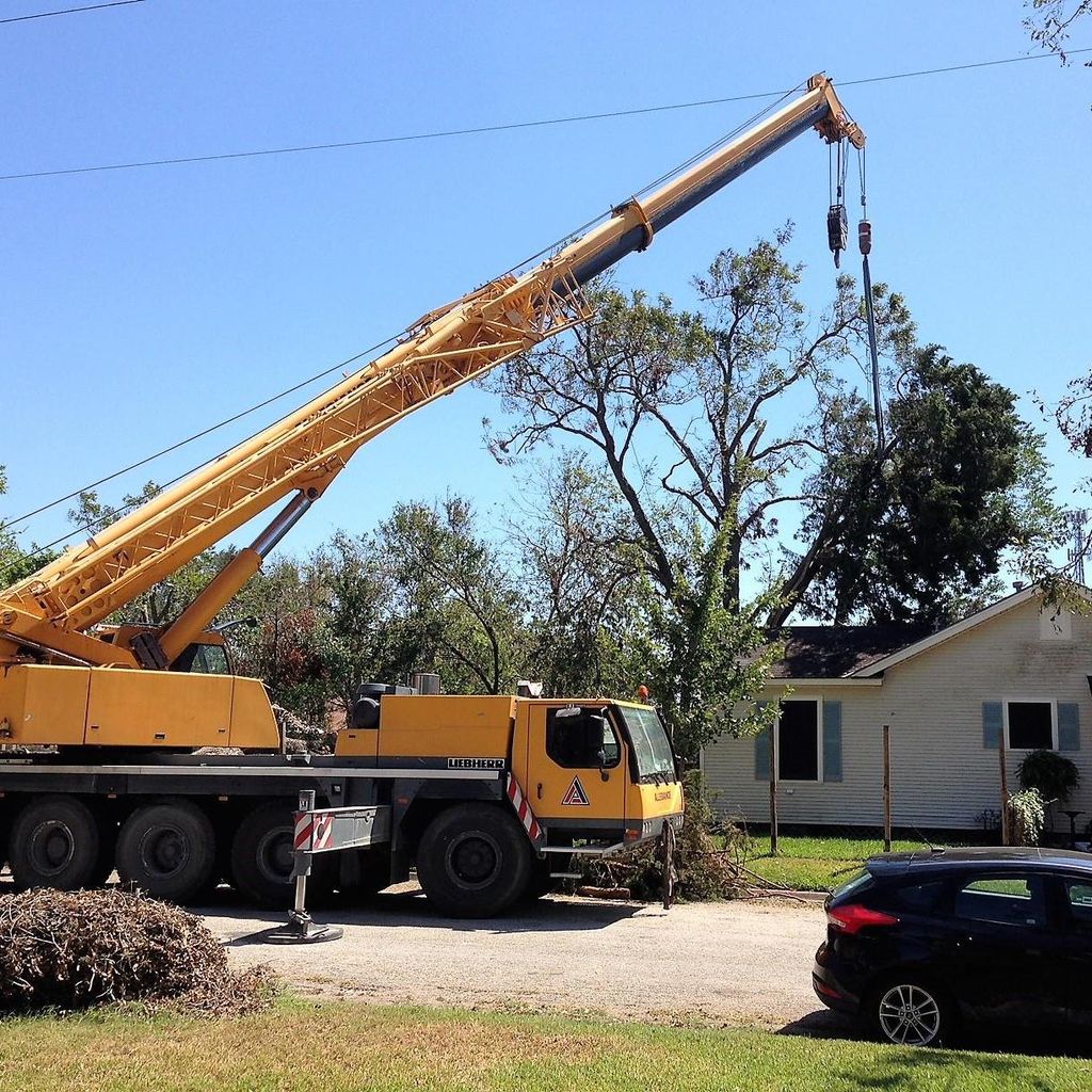 Hurricane Crane Tree Removal