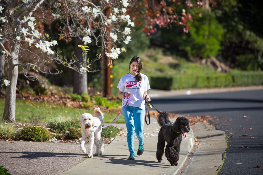 We love to give your dogs the daily exercise they 