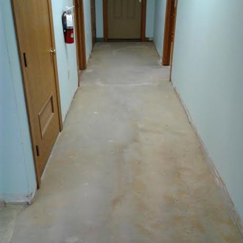 Carpet Removal Commercial Office