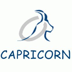 Capricorn - International Internet Marketing si...