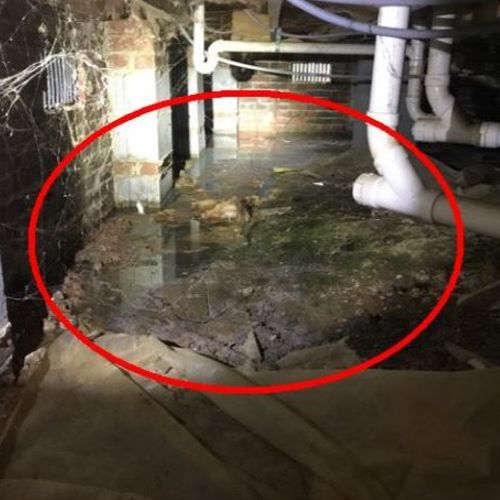 Standing water in the crawlspace