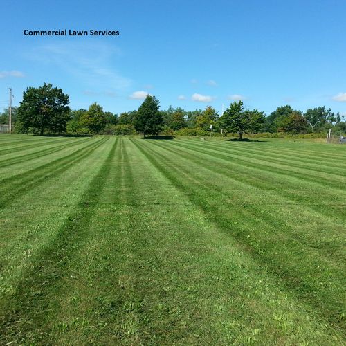 Commercial Lawn Services