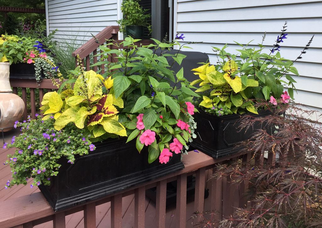 MIPG designed and installed annuals