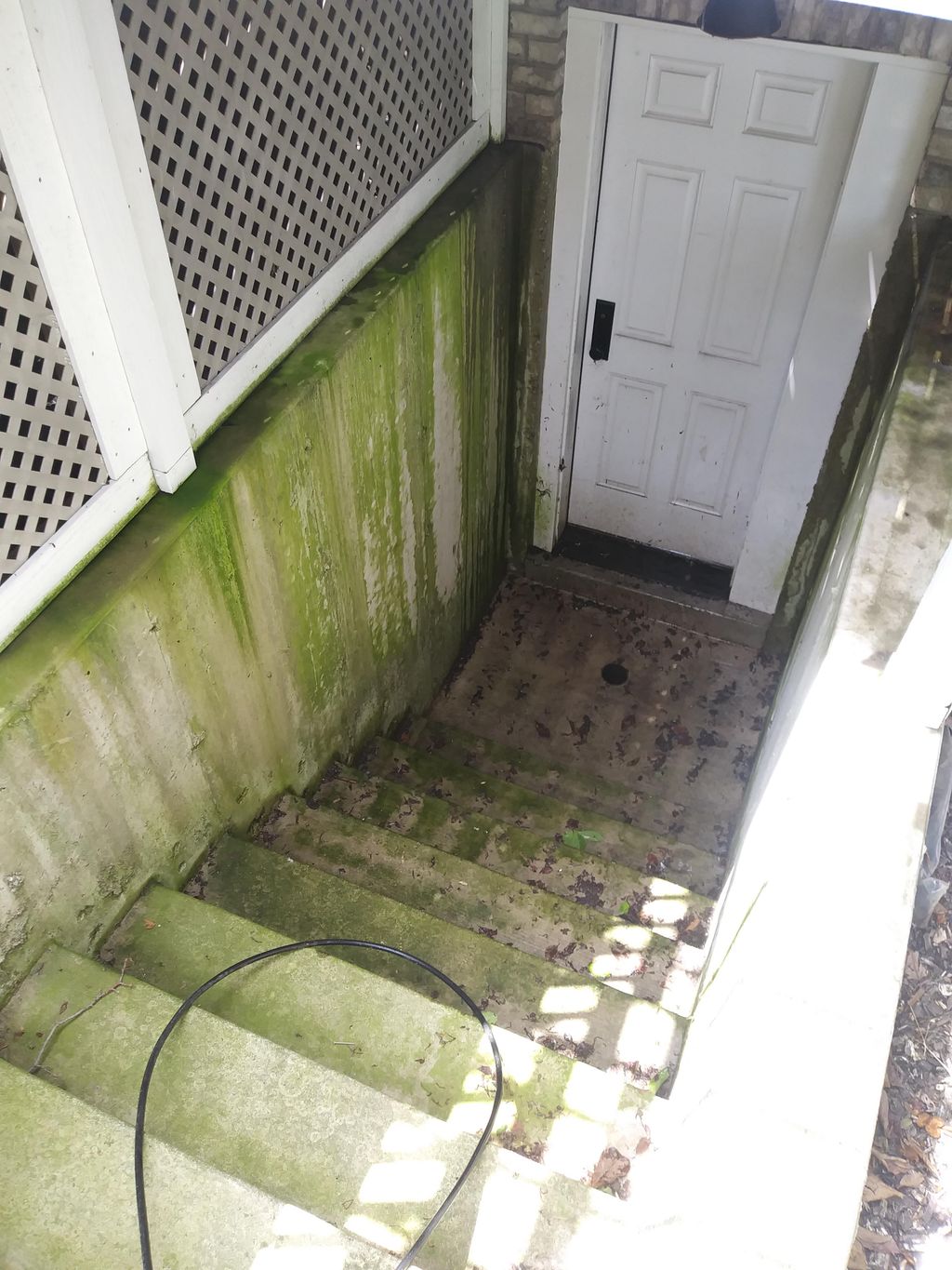 Pressure Washing Before