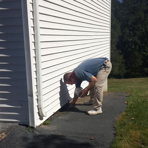Patching termite holes