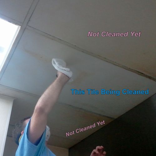 Ceiling Cleaning in a Commercial Kitchen.  The own
