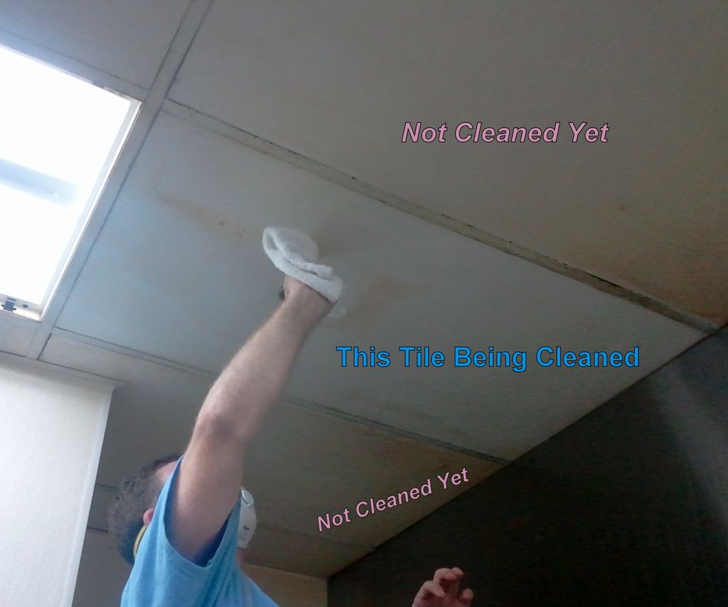 Ceiling Cleaning in a Commercial Kitchen.  The own