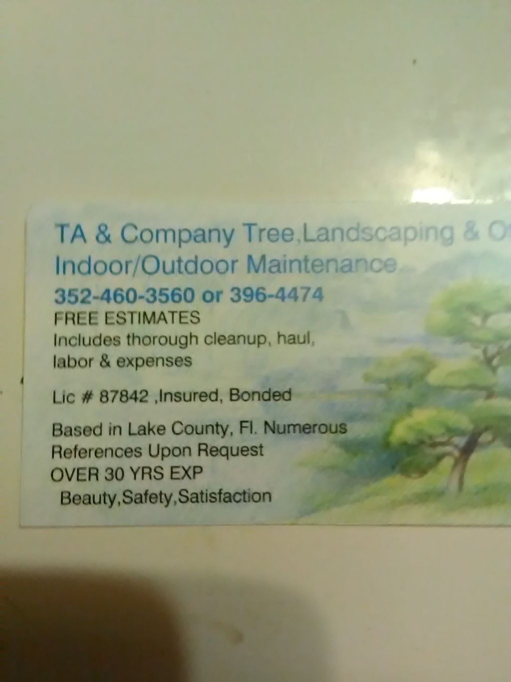 TA & Co Tree, Landscaping, Weeding & Other Outd...