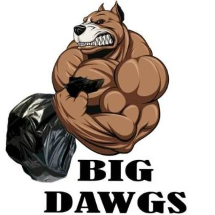 Big Dawgs Hauling Junk | North Canton, OH | Thumbtack