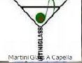 Website Design and Maintenance (webs) for Martini 
