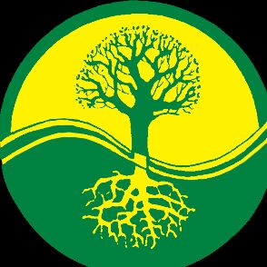 A Cut Above Tree Preservation LLC