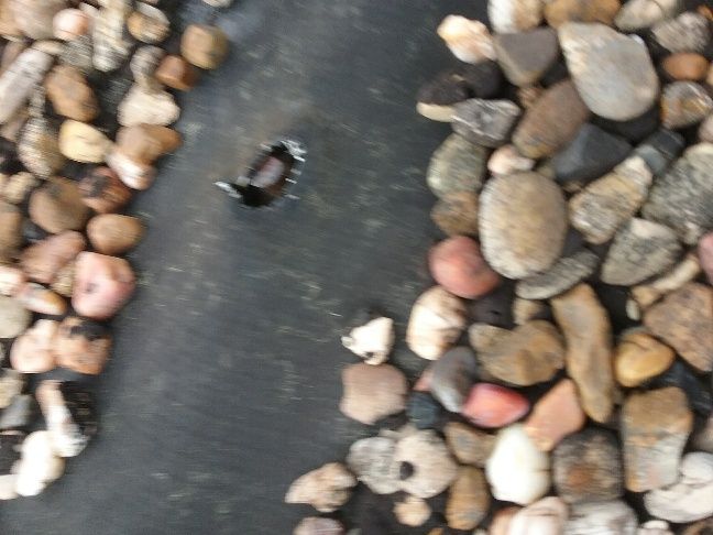 Failed Expansion Joint