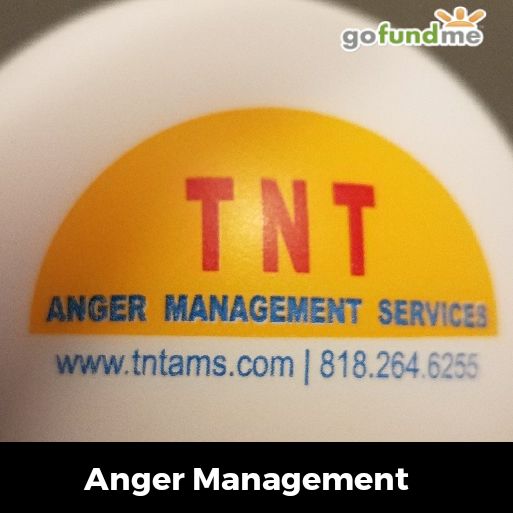 TNT Anger Management Services