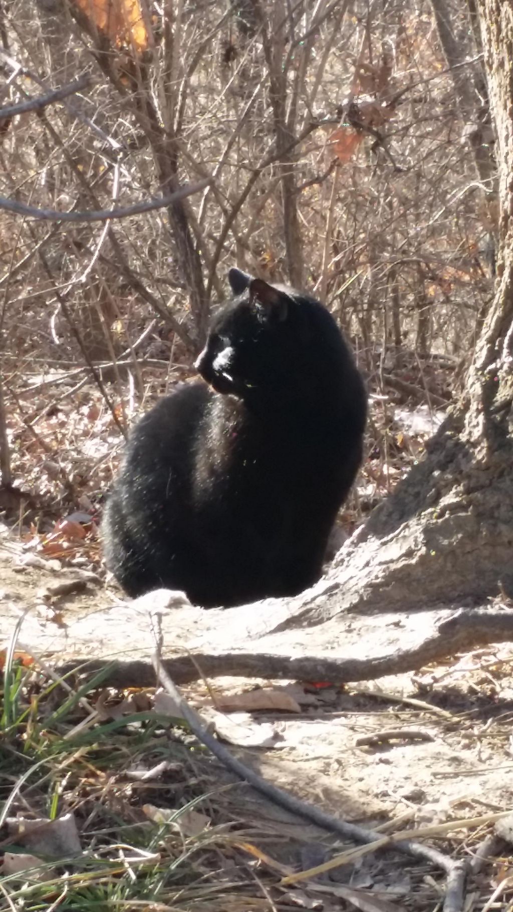 When George was wild