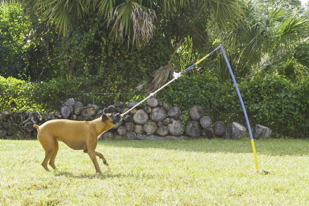 "Harlee" tests out the tether tug and decides it's