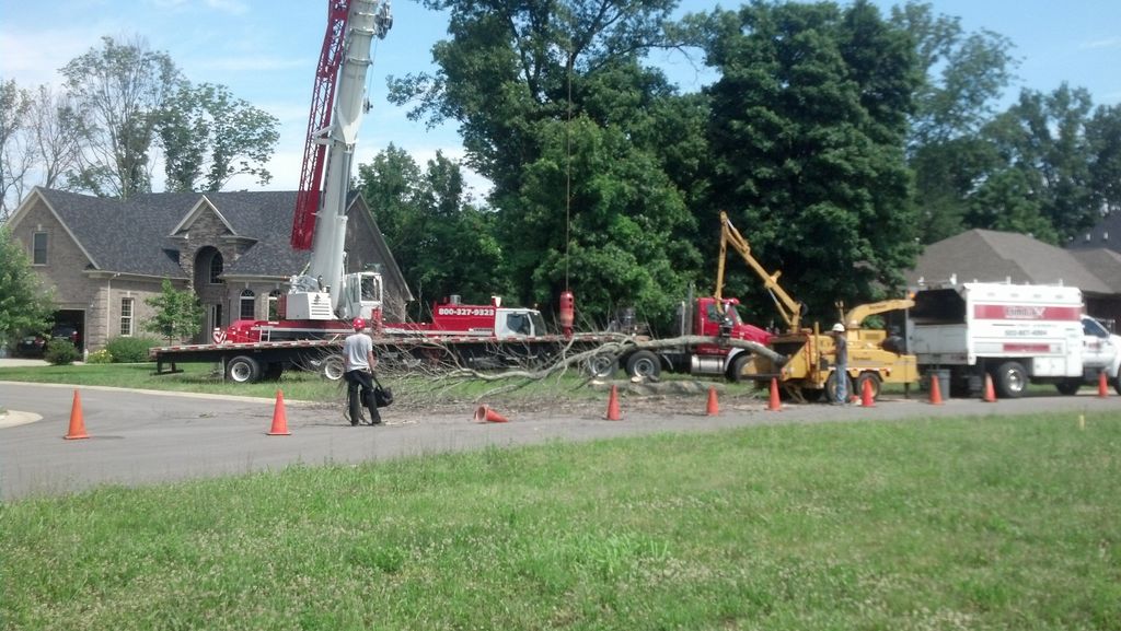 Massive Cranes (for the hard to reach)