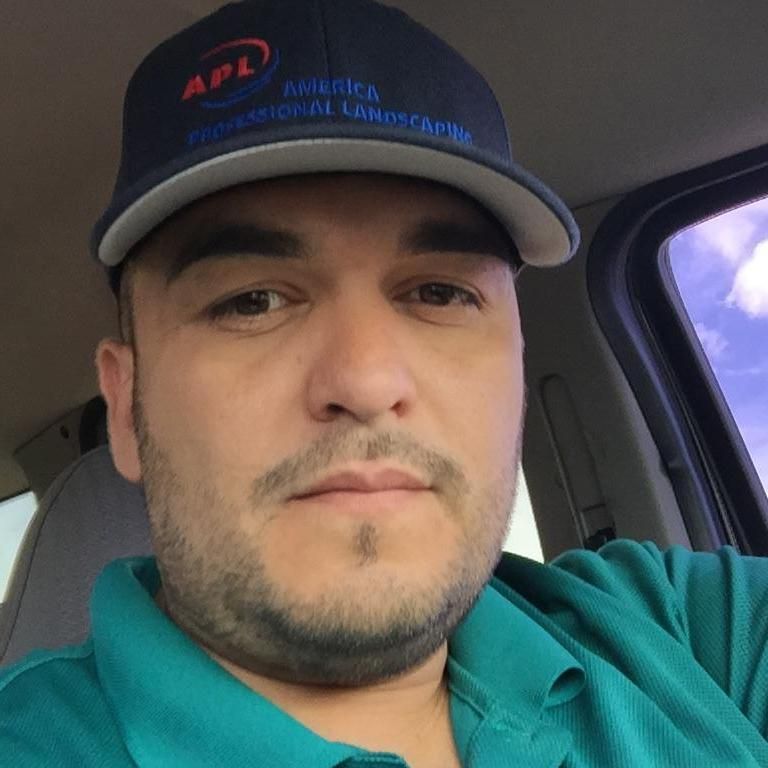 America Professional Landscaping LLC