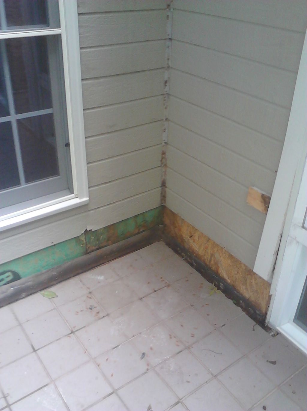 Removed the rotting siding and found termite damag