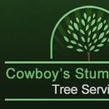 Austin Tree Service Company