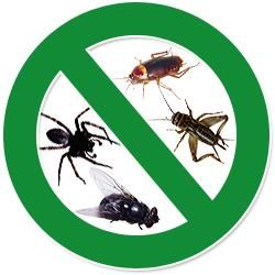 Avatar for 4 Seasons Pest Management