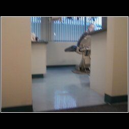 Refinish your floors, and they look like new!