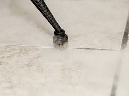 Steam has been shown effective in combating mold, 