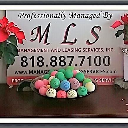 Management and Leasing Services, Inc.