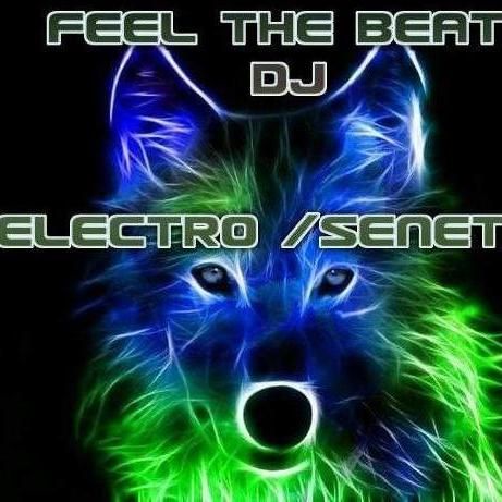 ElectroSenticPro DJS