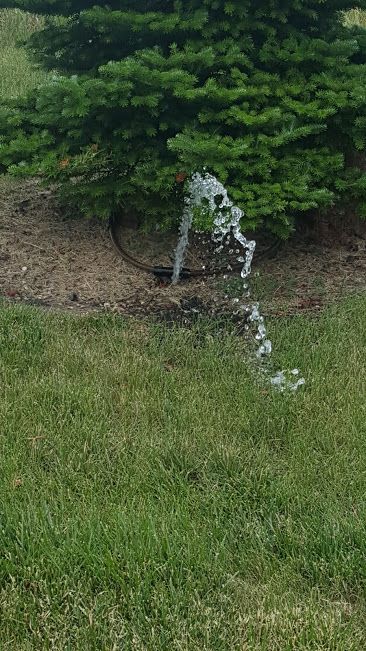 Commercial sprinkler system Audit.  System had ove