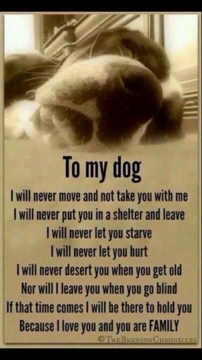 This applies to any and all pets!! 