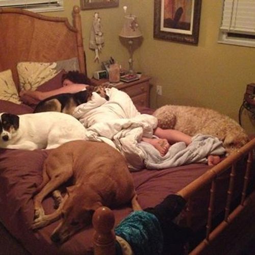 If your pet sleeps with you, they sleep with me :)