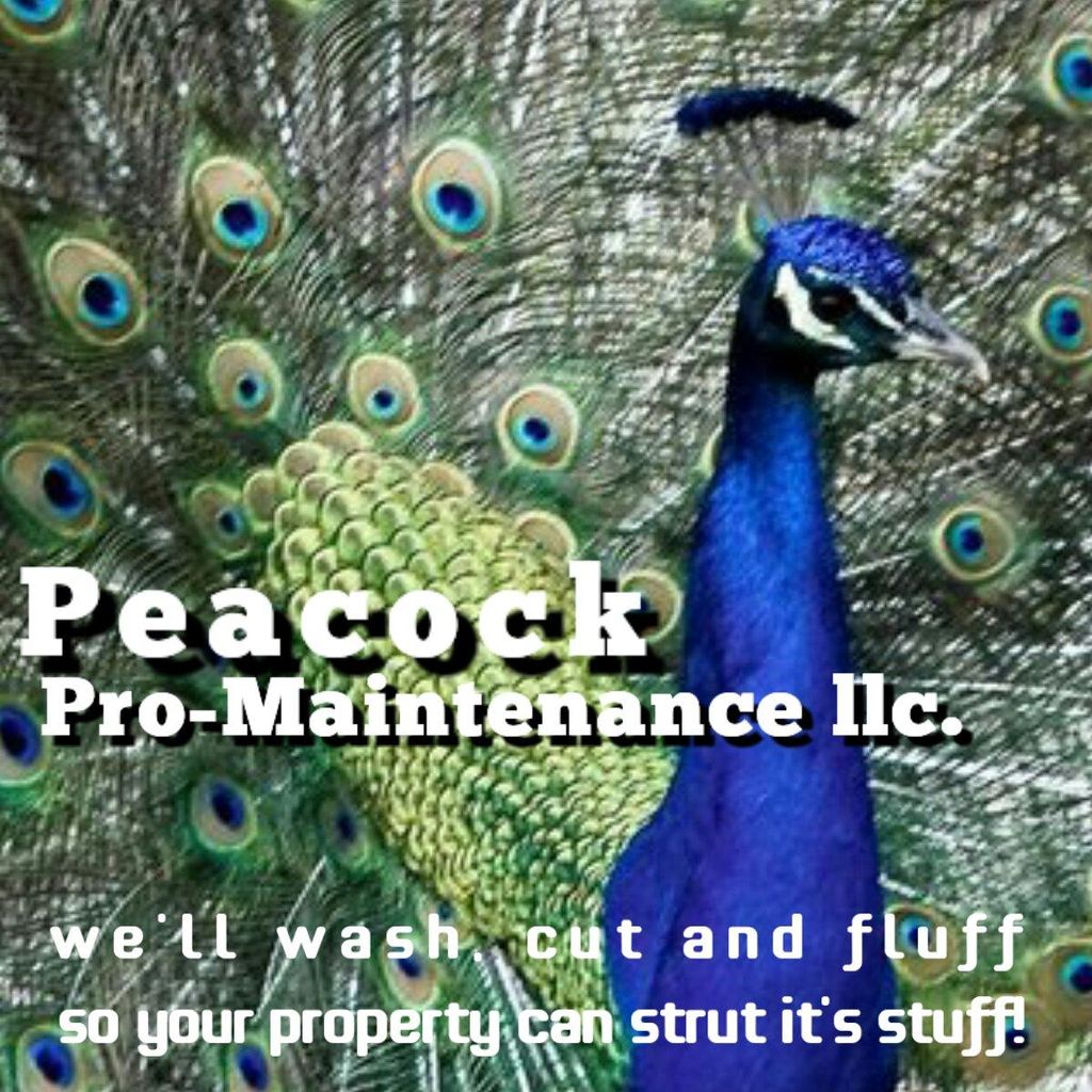 Peacock Pro-Maintenance LLC