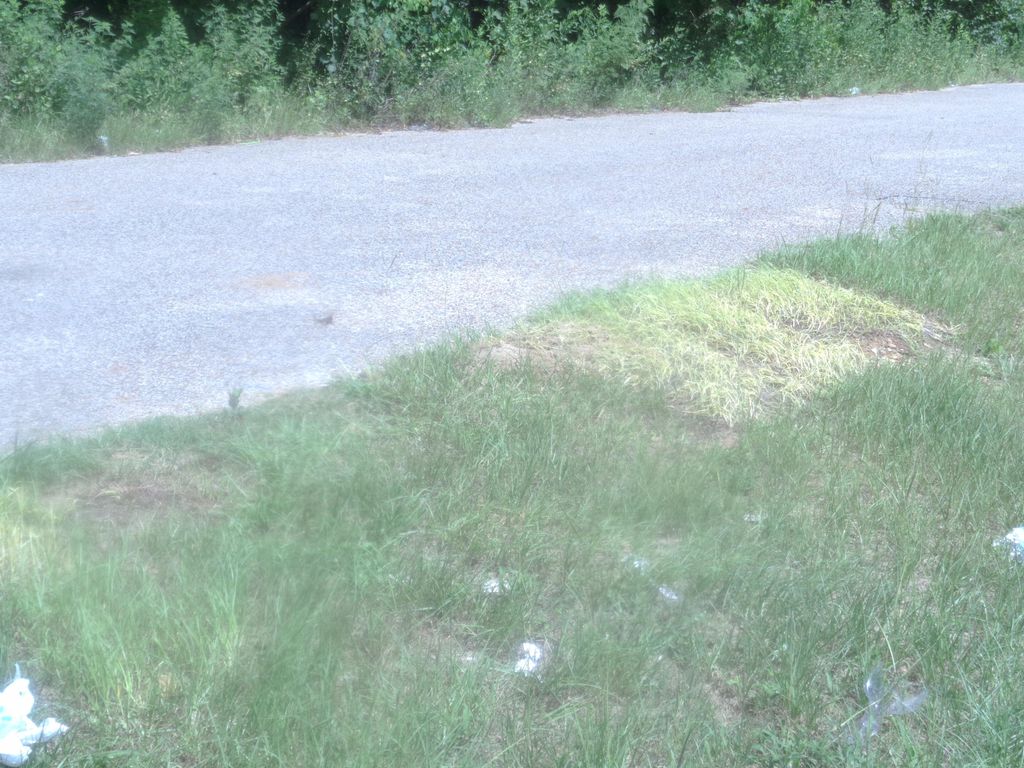 Curbside Pickup-Montgomery