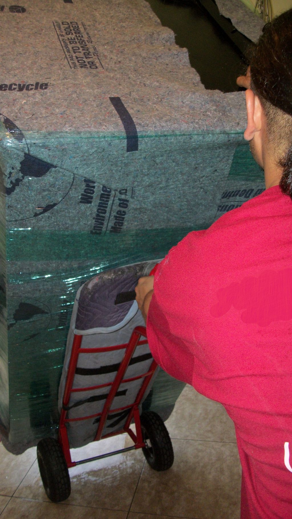 Experienced moving assistant.