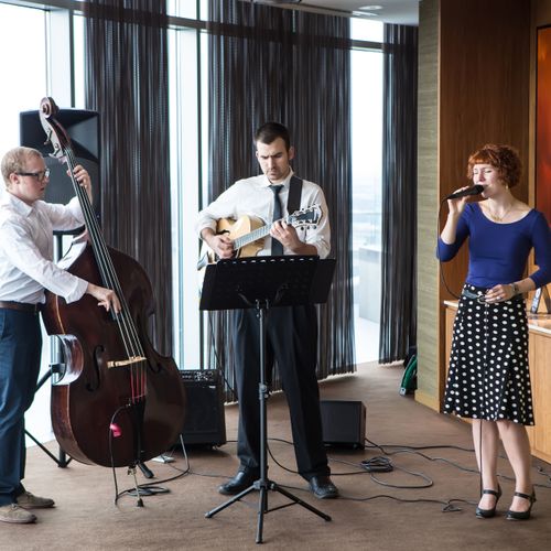 The Karen Tennison Trio, playing a private event a