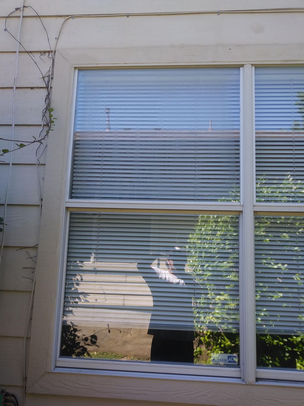 Windows- Regalzing - Vinly bead Installation- comp
