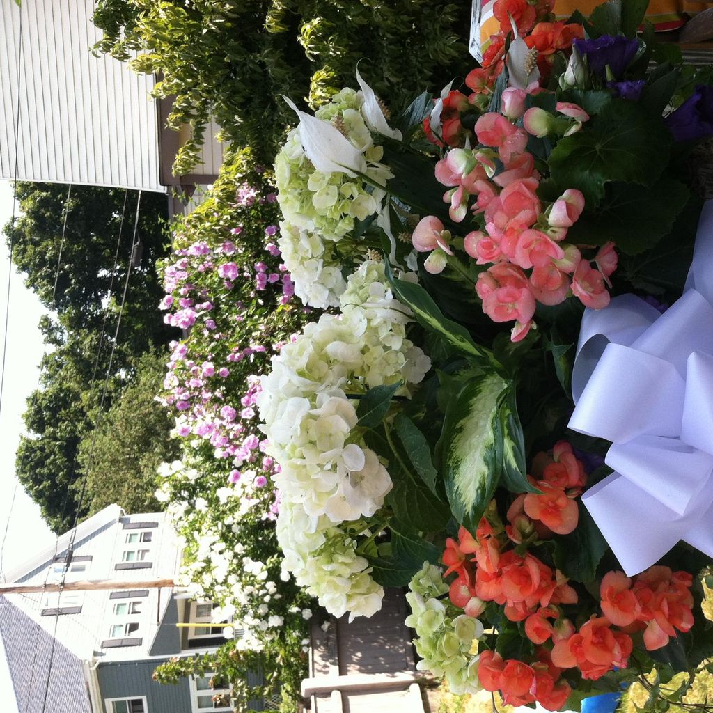 Nantasket Flowers